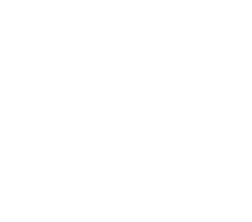 The Wet 'N Wild Social Club