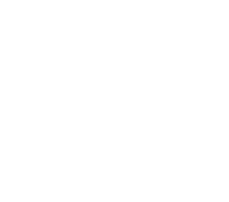 The Wet &rsquo;N Wild Social Club